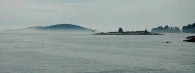 Lawrys and Crane Island area