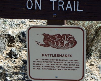 110 - Albuquerque - Stay on Trail - Rattlesnakes.JPG