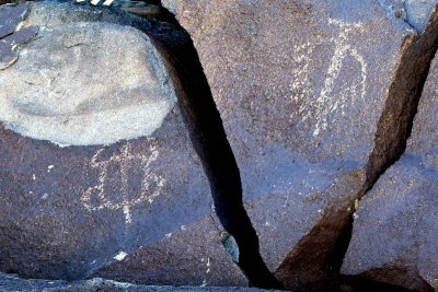 120 - Albuquerque - Petroglyphs 3.JPG