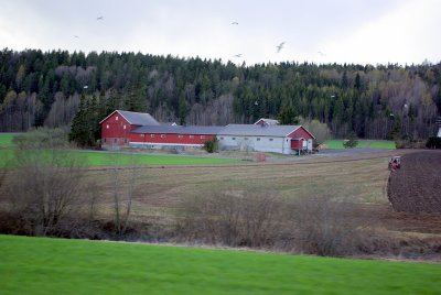 Norwegian Farm.JPG