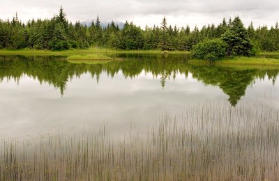 Glacier pond June 24