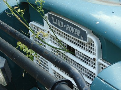 Land Rover and a plant