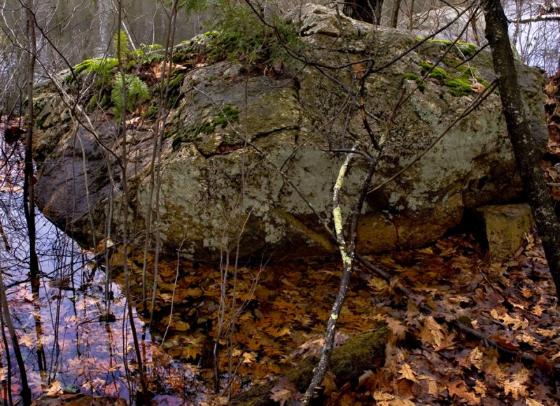 Rock in Water