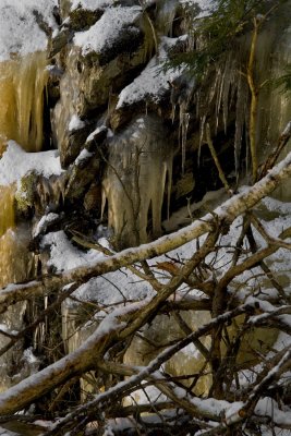 Ice Covered Rocks and Twigs