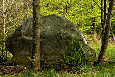 Sring Rock