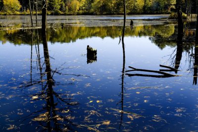 Quiet Waters