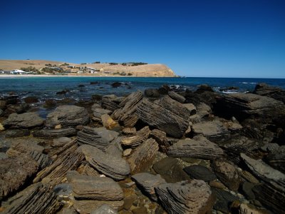 PA164856.jpg