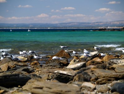 P1036864.jpg