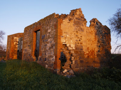 E1_0008.jpg