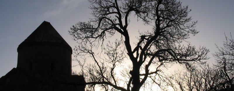 200403260137b.JPG
