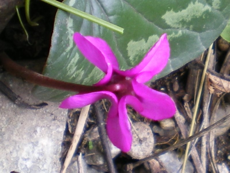 2007 04 17 350.jpg