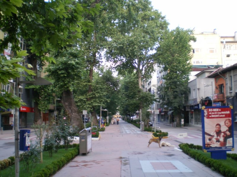 2007 06 19 249.jpg