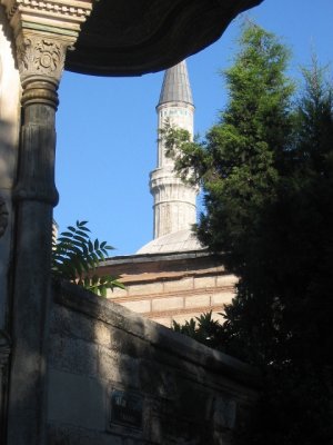 200406030 125.jpg
