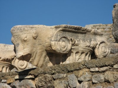 20061115 038 Ionic Capital  with a Ram's head  extention.jpg