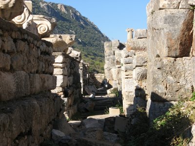20061115 041.jpg