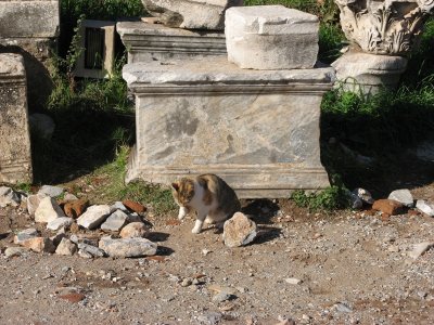 20061115 064.jpg