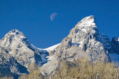 Moon Shadow