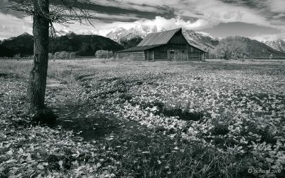 Mormon Row Barn in B&W