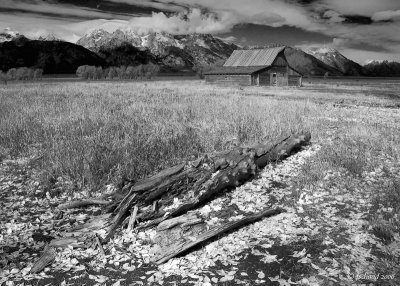 Field and Barn