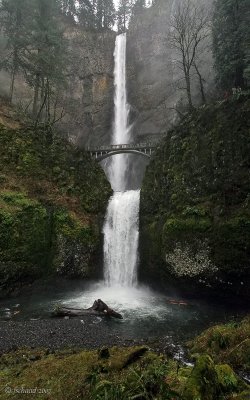 Multnomah Falls II