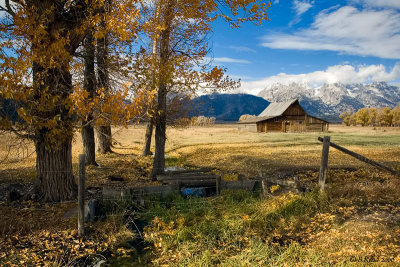 Fall Color on Mormon Row