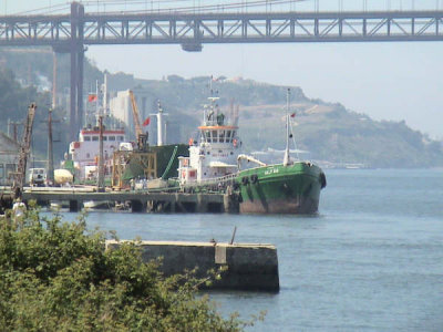 28 Ana Helena Loureno
