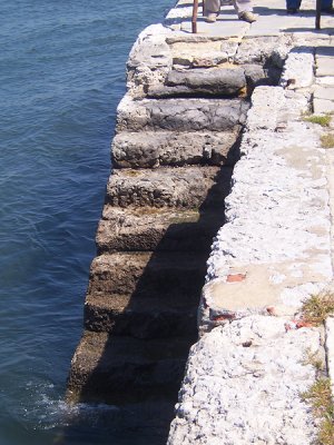 31 ngela Aires