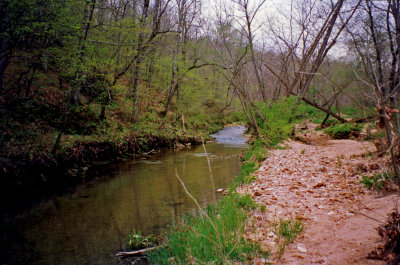 Blue Springs Creek - Early Spring