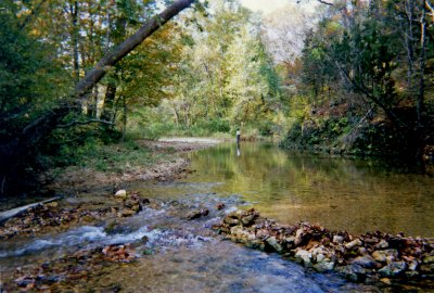 Blue Springs Creek