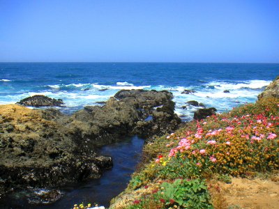 Fort Bragg Botanical Garden, California