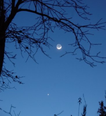 The Young Moon and Venus Setting