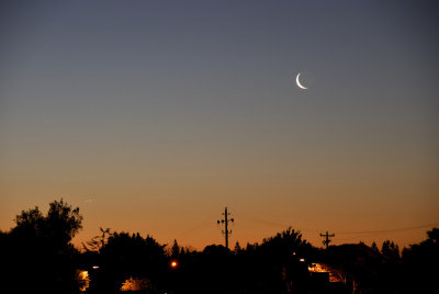 The Crescent Moon Rising