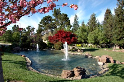 Gardens in Cupertino