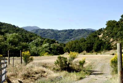 Site of the old Hacienda Reduction Works Site