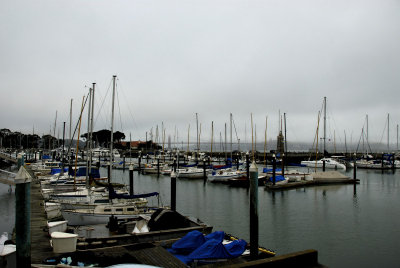 Overcast Morning at the SF Marina