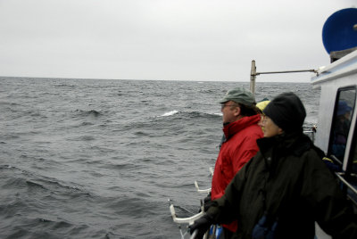 John Watching for any whale sightings