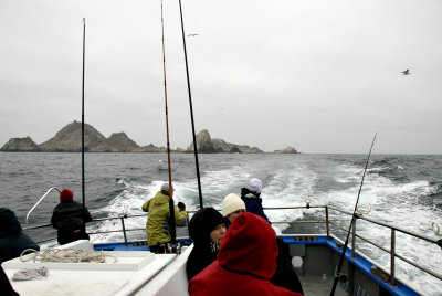 Leaving the Farallons