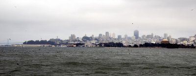 SF Skyline