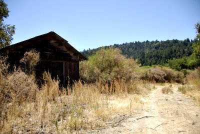 Abandoned shed at the open area