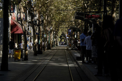 Waiting for the Light Rail