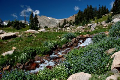 Rushing stream