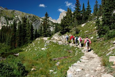 On the trail