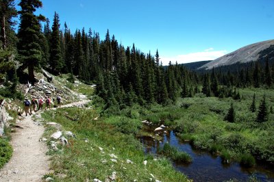 Hiking Back