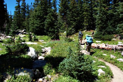 Flowery Trail