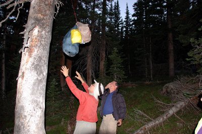 Hanging our Food