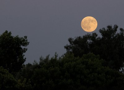 The Full Moon Rising