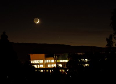 Young Moon Setting