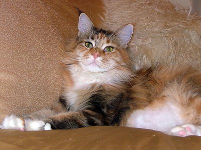 g6/75/697975/3/75487465.OrkSBDyB.jpg