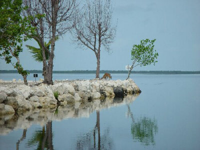 Big Pine Key