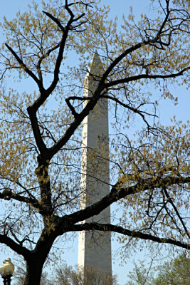 Washington Monument 01